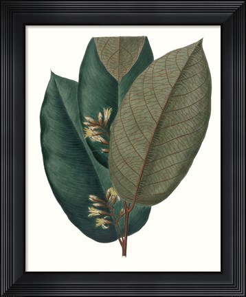 Framed Fall Foliage I Print
