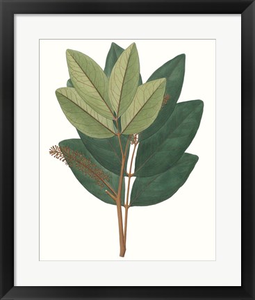 Framed Fall Foliage IV Print