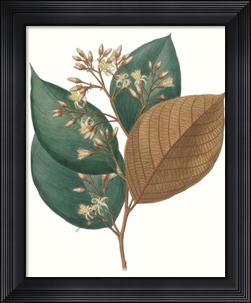 Framed Fall Foliage V Print