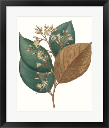 Framed Fall Foliage V Print