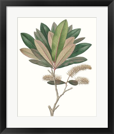 Framed Fall Foliage VI Print
