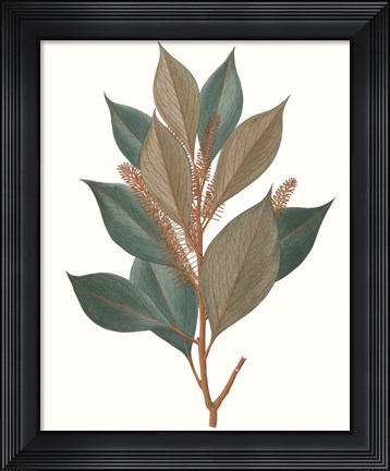 Framed Fall Foliage VII Print