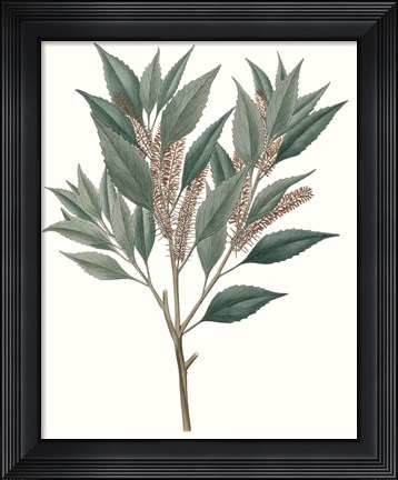 Framed Fall Foliage VIII Print