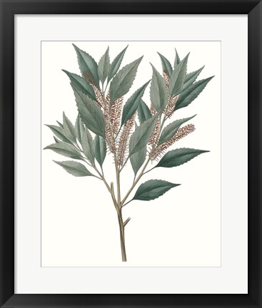 Framed Fall Foliage VIII Print