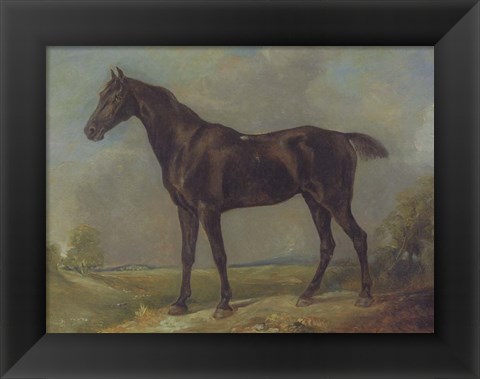 Framed Golding Constable&#39;s Black Riding-Horse Print