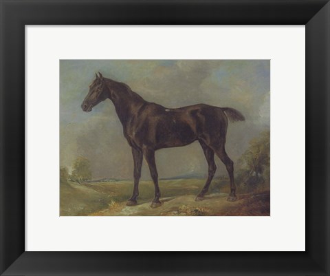 Framed Golding Constable&#39;s Black Riding-Horse Print