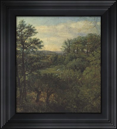 Framed Valley Scene with Trees Print