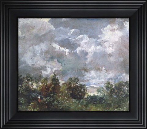 Framed Study of Sky and Trees Print