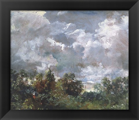 Framed Study of Sky and Trees Print