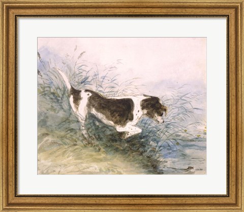 Framed Dog Watching a Rat in the Water Print