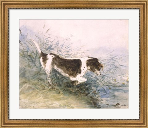 Framed Dog Watching a Rat in the Water Print