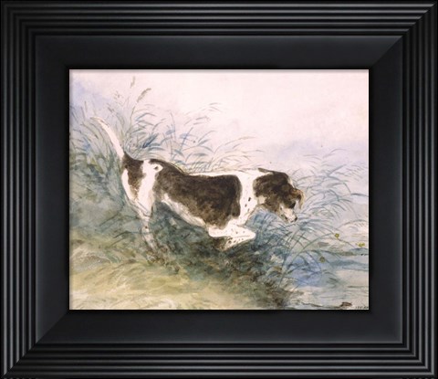 Framed Dog Watching a Rat in the Water Print