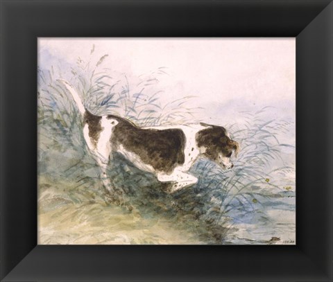 Framed Dog Watching a Rat in the Water Print