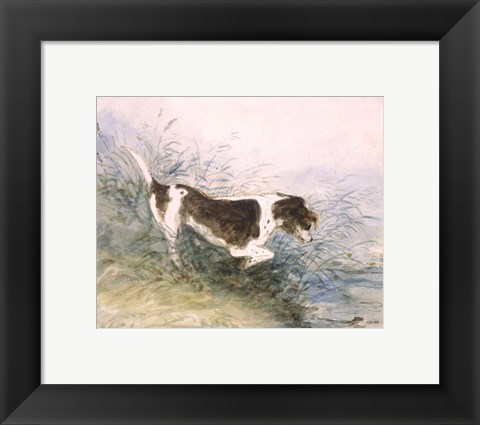 Framed Dog Watching a Rat in the Water Print