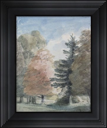 Framed Study of Trees in a Park Print