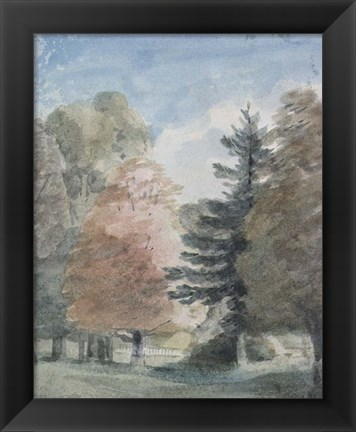 Framed Study of Trees in a Park Print