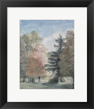 Framed Study of Trees in a Park Print