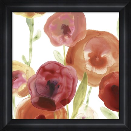 Framed Poppy Patch I Print