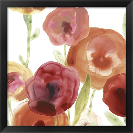 Framed Poppy Patch I Print