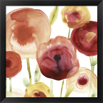 Framed Poppy Patch II Print