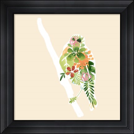 Framed Foliage &amp; Feathers III Print