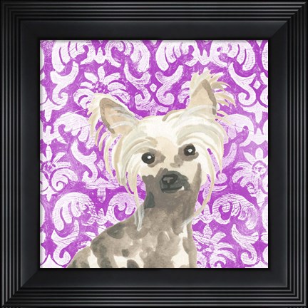 Framed Parlor Pooches IX Print