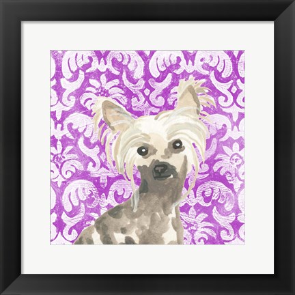 Framed Parlor Pooches IX Print