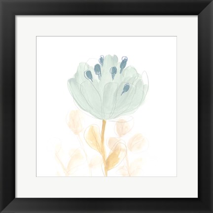 Framed Petite Petals V Print