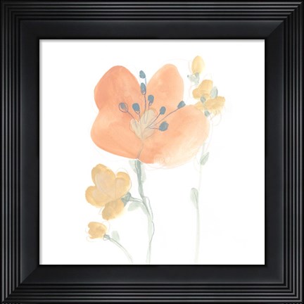 Framed Petite Petals VI Print