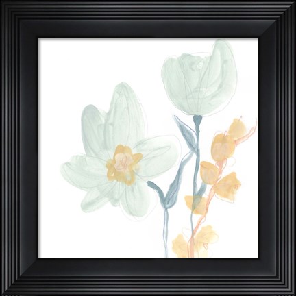 Framed Petite Petals IX Print