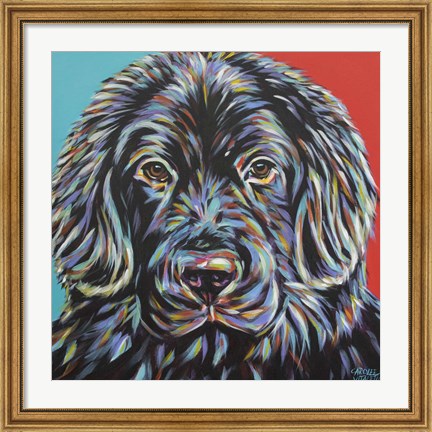 Framed Canine Buddy I Print