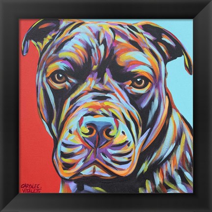 Framed Canine Buddy III Print