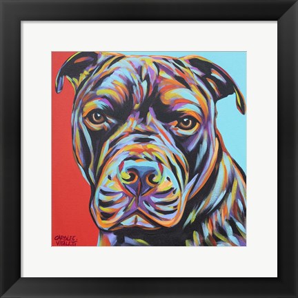 Framed Canine Buddy III Print