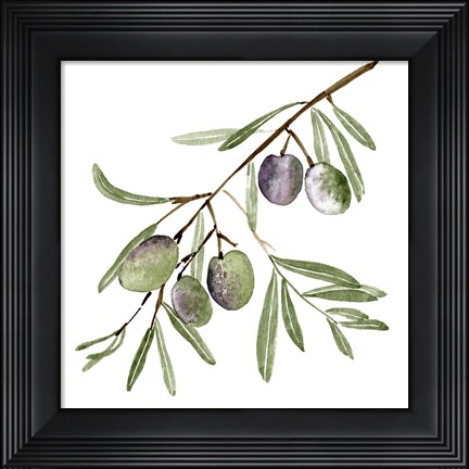 Framed Olive Branch I Print