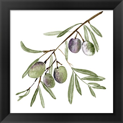 Framed Olive Branch I Print