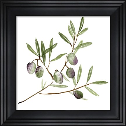 Framed Olive Branch II Print