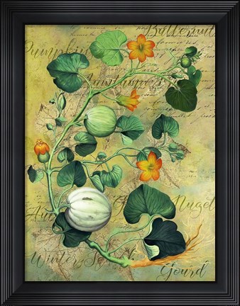 Framed Gourds Print