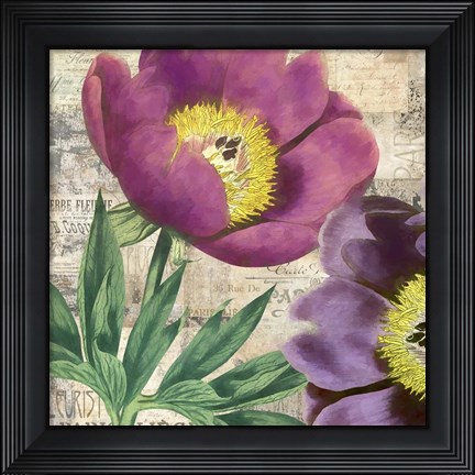 Framed Purple Peonies Print