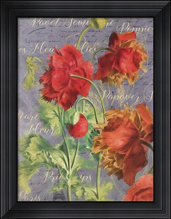 Framed Red Poppies Print