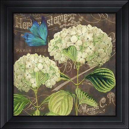 Framed White Hydrangea Print
