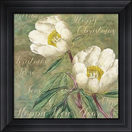 Framed White Christmas Roses Print