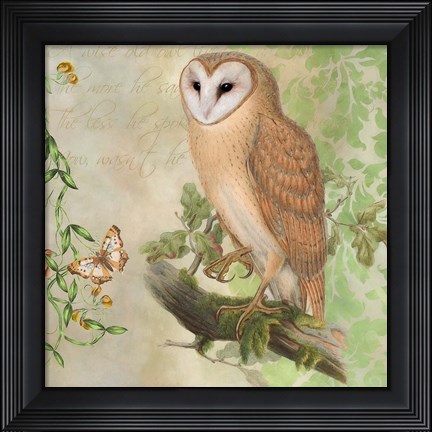 Framed Barn Owl Print