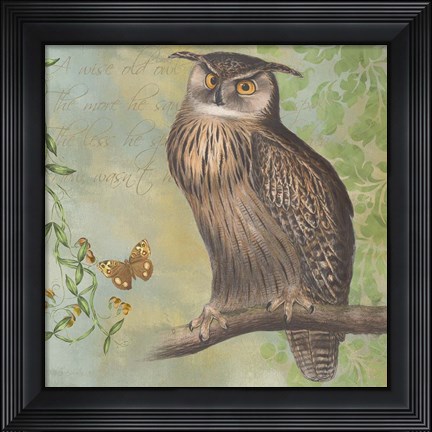 Framed Eagle-Owl Print