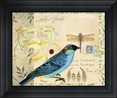 Framed Post Card Birds I Print