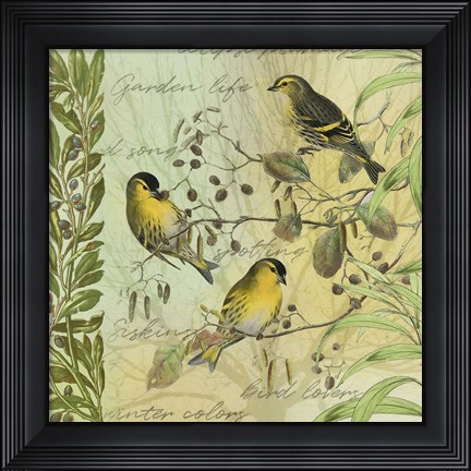 Framed Tree Birds I Siskins Print