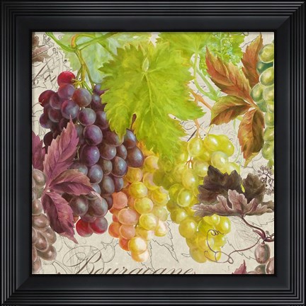 Framed Vintage Fruits II Grapes Print