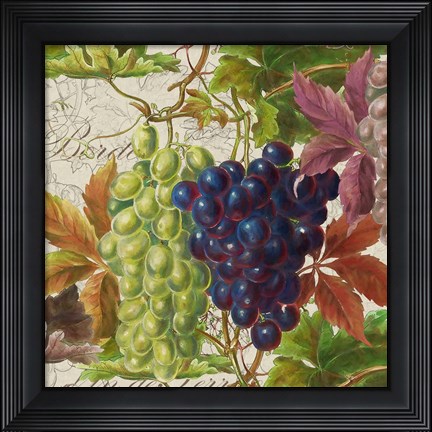 Framed Vintage Fruits III Grapes Print