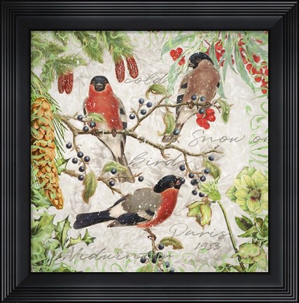 Framed Winter Birds Bullfinches Print