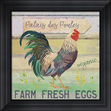 Framed Egg Farm Rooster Print