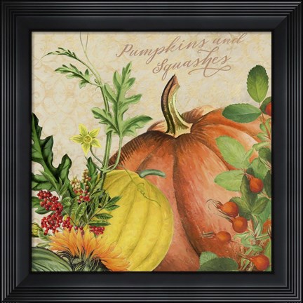 Framed Pumpkins and Squashes Print